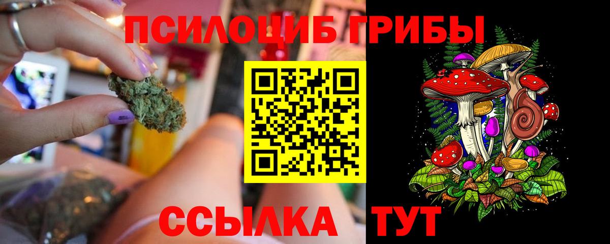 Псилоцибиновые грибы Psilocybine cubensis Мыски